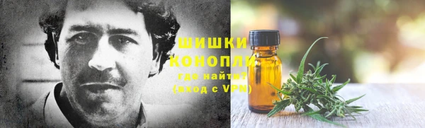 apvp Горняк