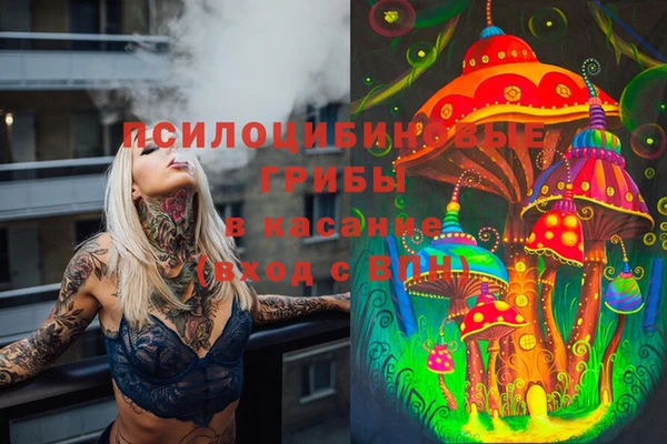 круглые Алексин