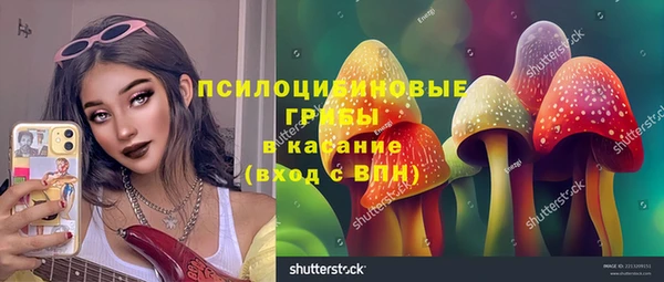 трава Алзамай