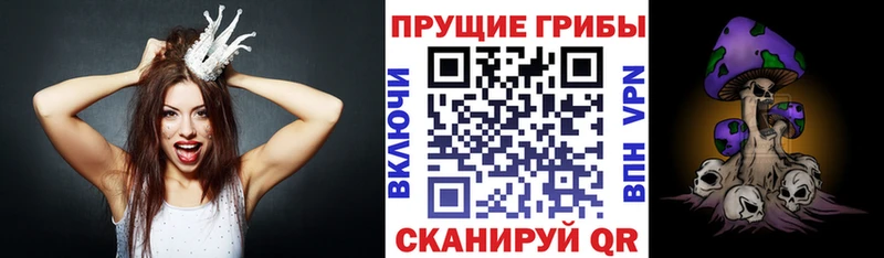 Псилоцибиновые грибы Magic Shrooms  купить наркотики сайты  Беломорск 
